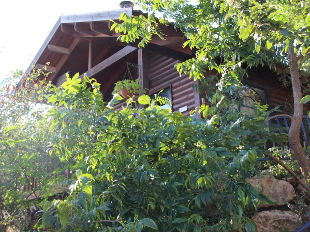 First Light Cabins Amirim Rom bilde